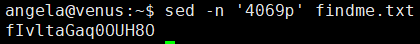 image-20240805195009560